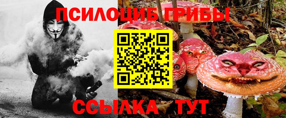 Псилоцибиновые грибы Magic Shrooms Павловский Посад