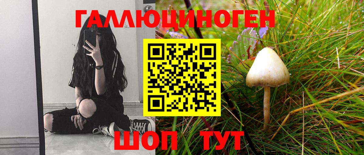 Галлюциногенные грибы GOLDEN TEACHER  Павловский Посад 