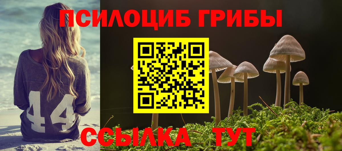 купить наркотики цена  Вход с VPN  Павловский Посад  Галлюциногенные грибы прущие грибы 