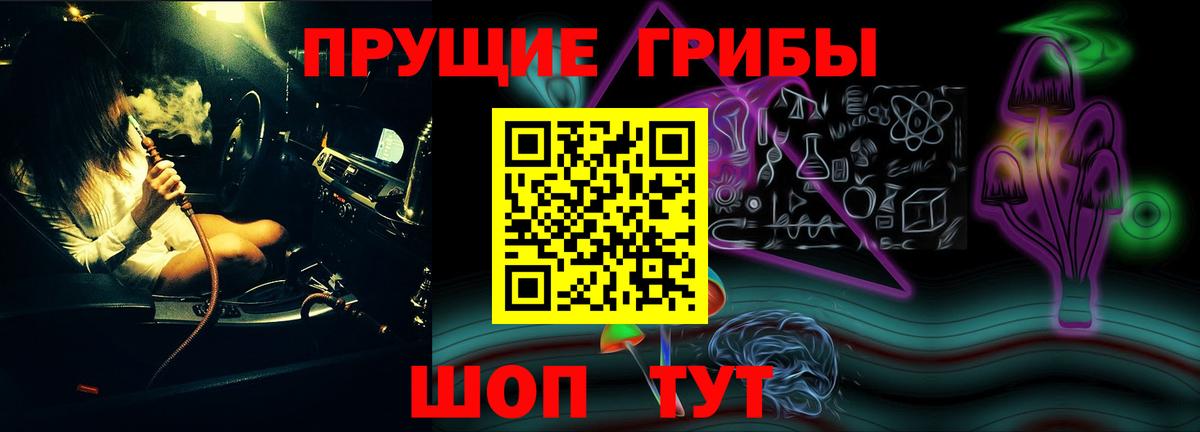 Галлюциногенные грибы мицелий Павловский Посад